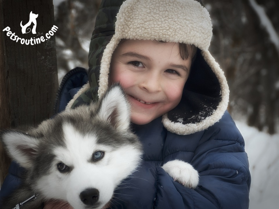 Are huskies good with kids?